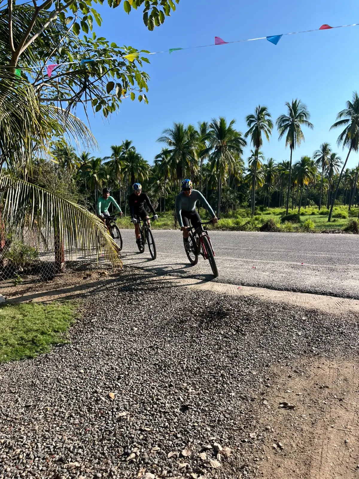 Grupo de atletas JAAL rodando entre palmeras